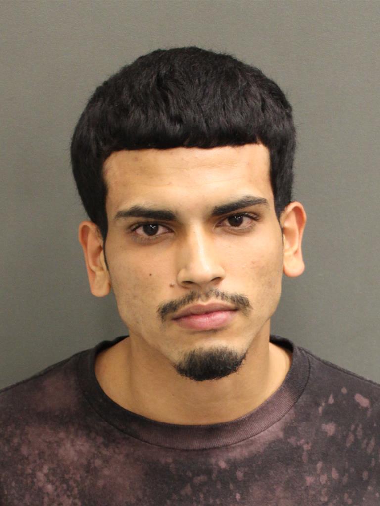  LOUIS JUSTIN MERCADOPIJUAN Mugshot / County Arrests / Orange County Arrests