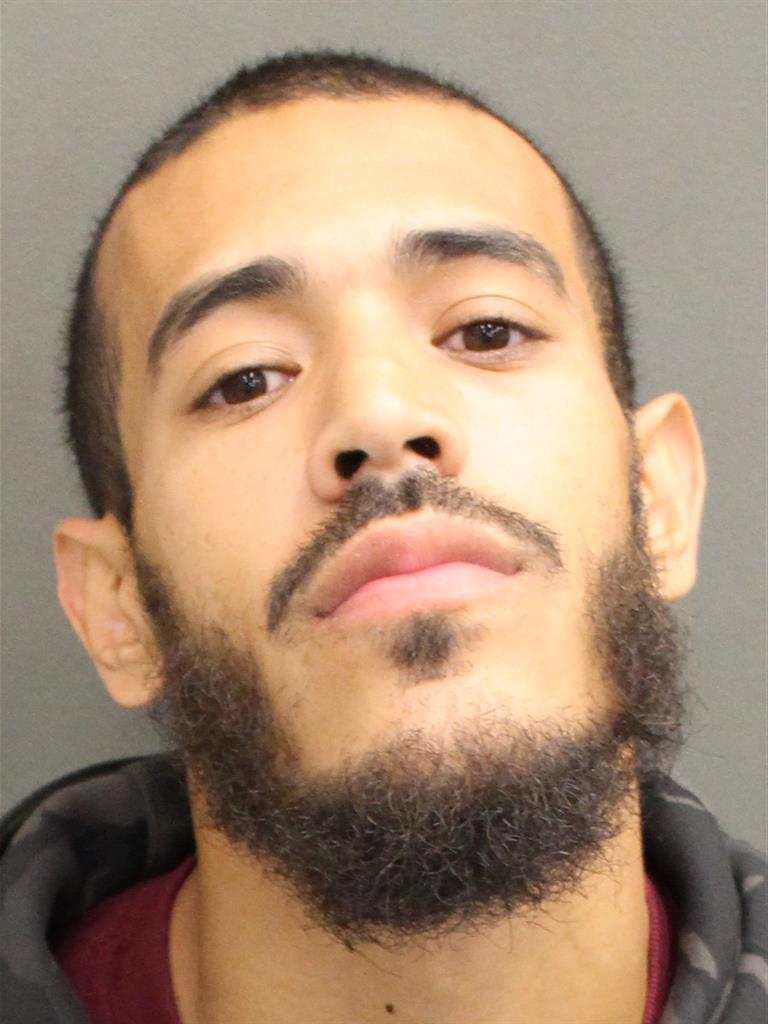  MICHAEL ANTHONY JR PIJUAN Mugshot / County Arrests / Orange County Arrests