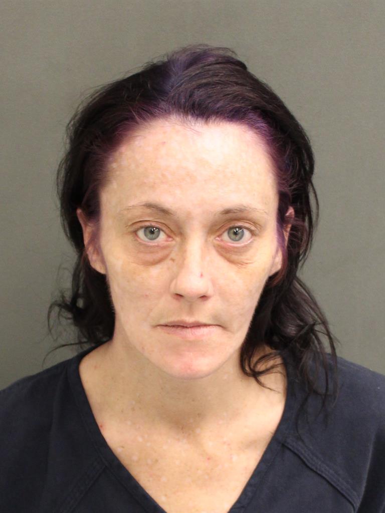  HEATHER HORN Mugshot / County Arrests / Orange County Arrests