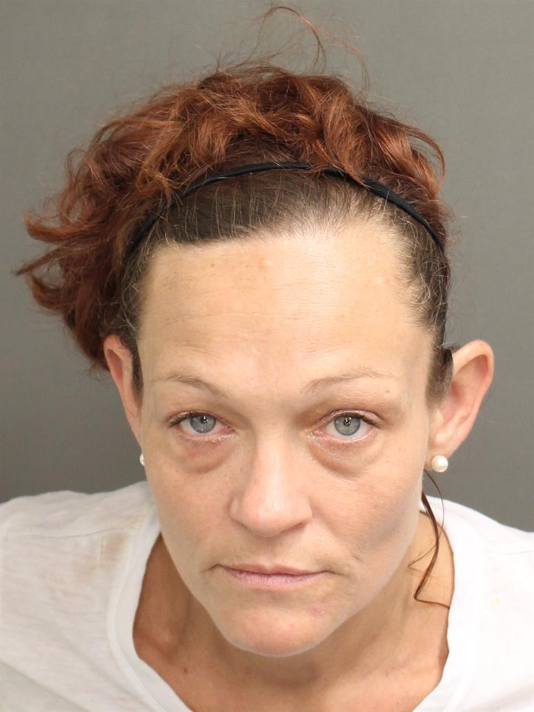  JESSICA ELIZABETH SHEFER Mugshot / County Arrests / Orange County Arrests