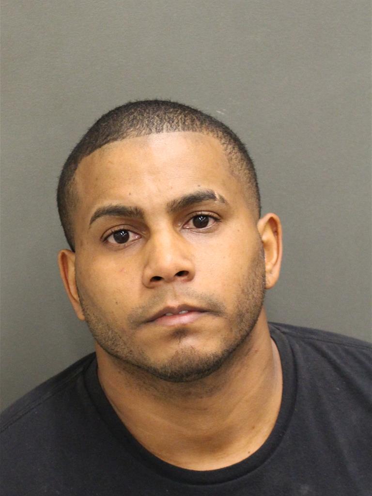  RAMON L HIDALGO Mugshot / County Arrests / Orange County Arrests