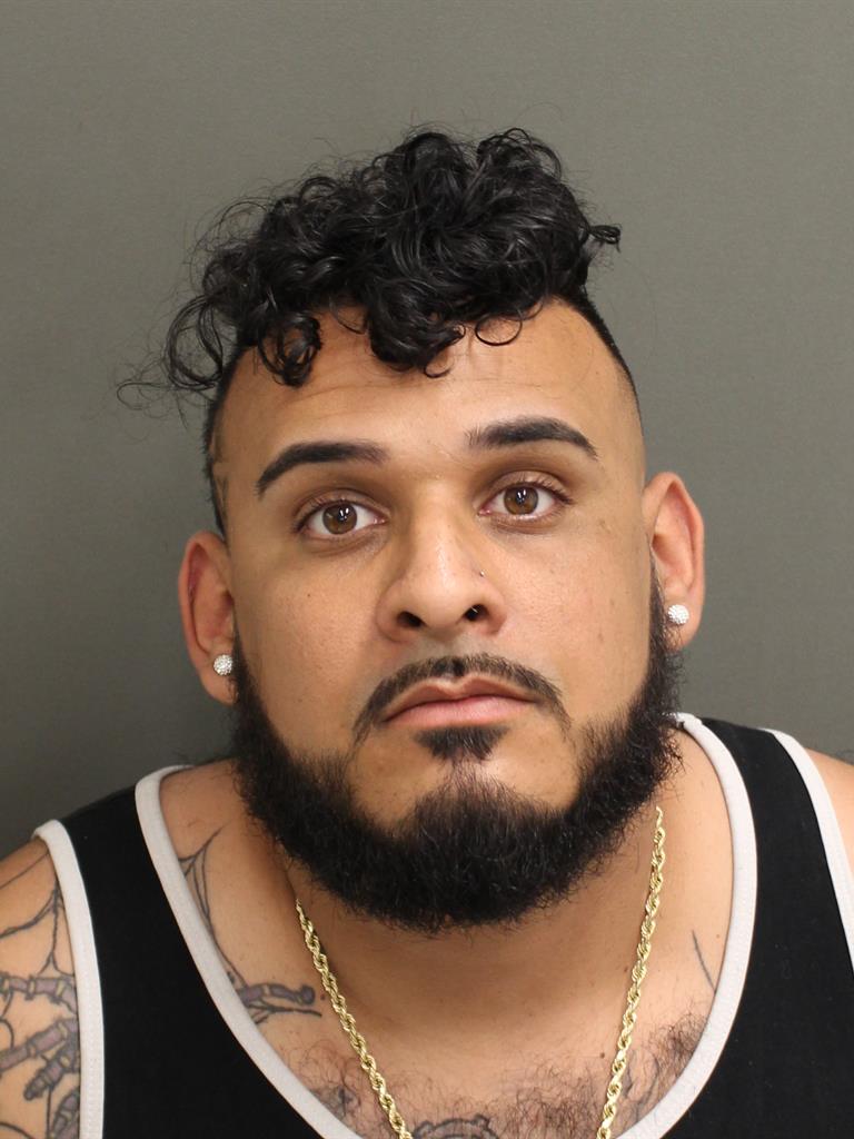  RICARDO  JR GARCIA Mugshot / County Arrests / Orange County Arrests