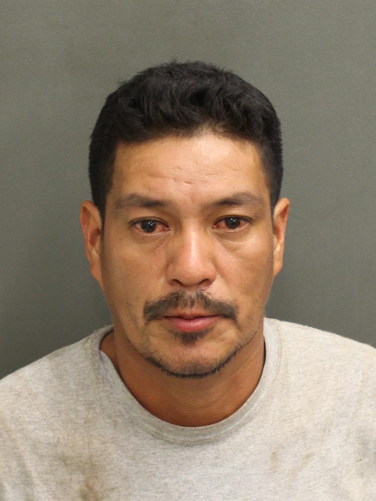 BAUDILLO LOPEZ GONZALES Mugshot / County Arrests / Orange County Arrests