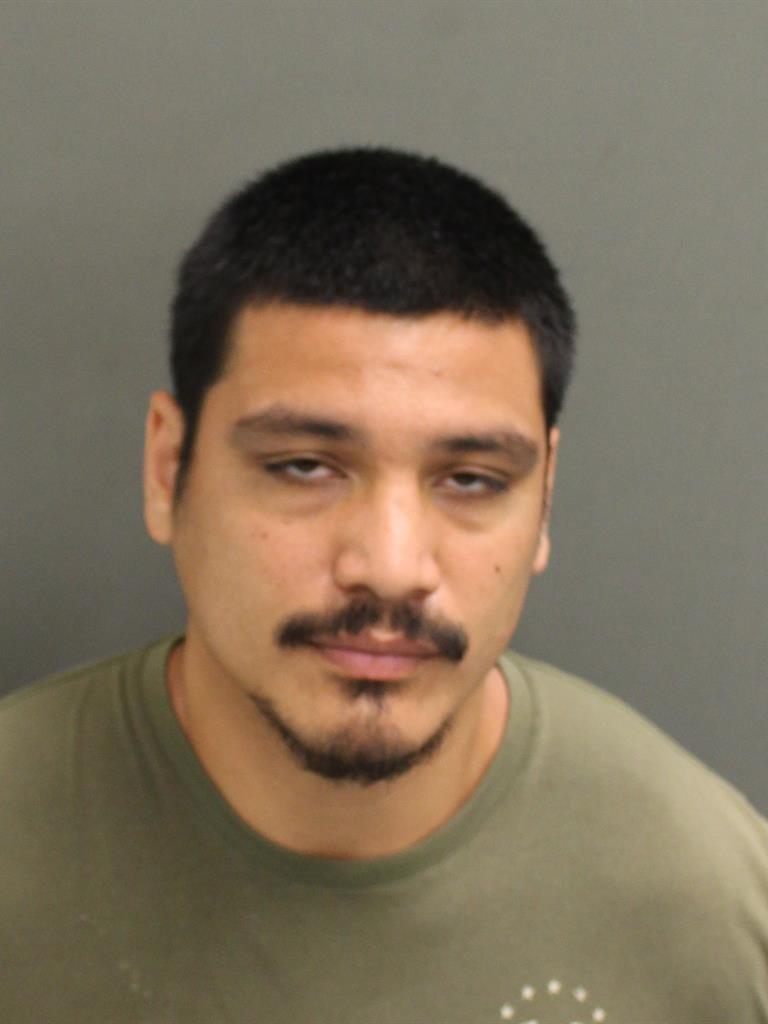  MINH HIEU QUINN Mugshot / County Arrests / Orange County Arrests