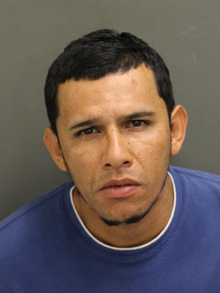  LUIS SPARSA Mugshot / County Arrests / Orange County Arrests
