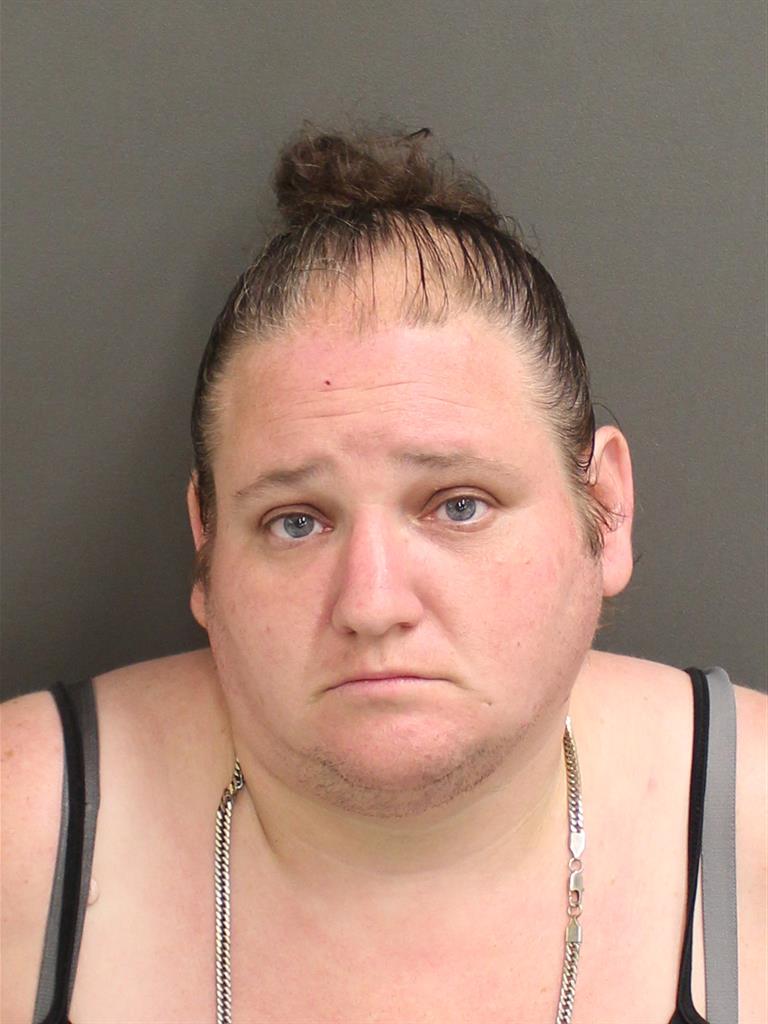  TAMI L VIOLA Mugshot / County Arrests / Orange County Arrests