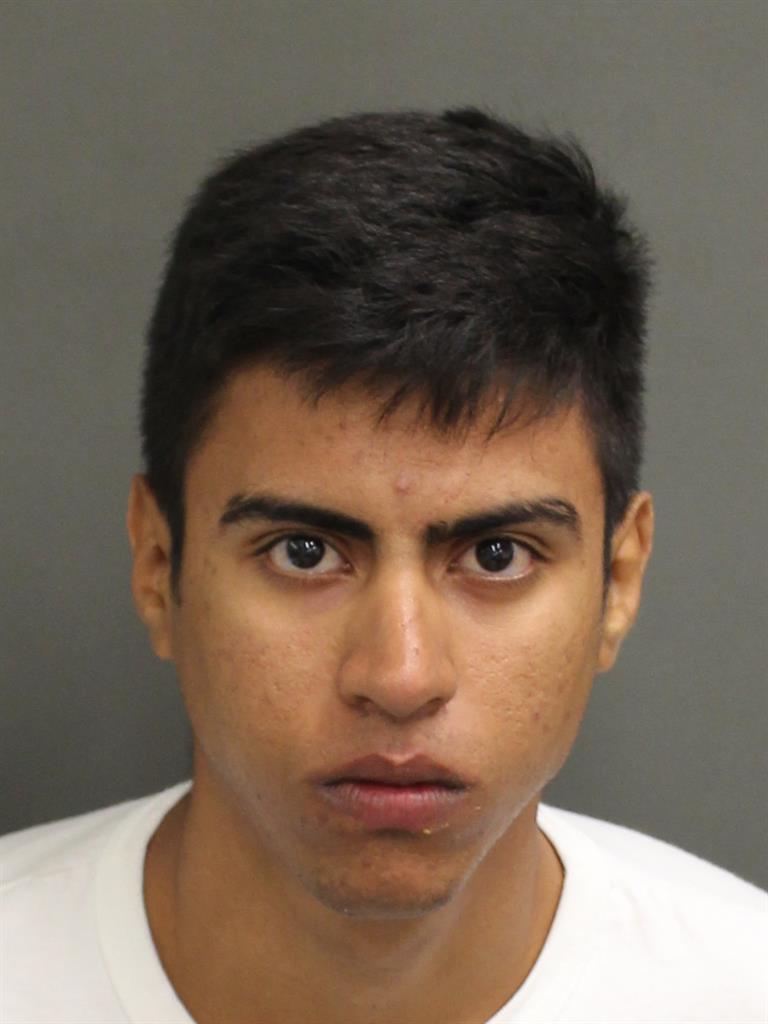  EDSON DESOUZANETO Mugshot / County Arrests / Orange County Arrests