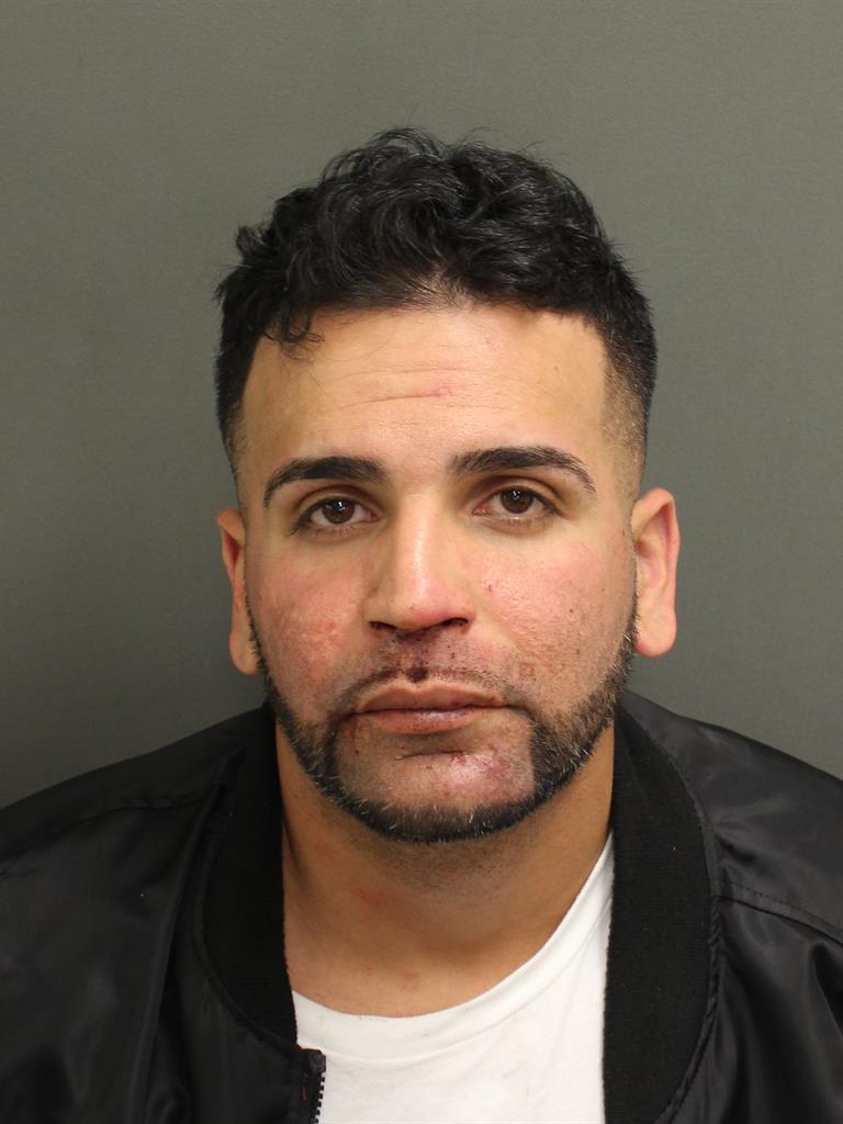  ALBERTO  JR GONZALEZ Mugshot / County Arrests / Orange County Arrests