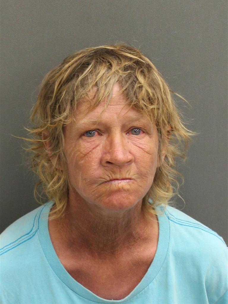  DEBRA CZICHOS Mugshot / County Arrests / Orange County Arrests