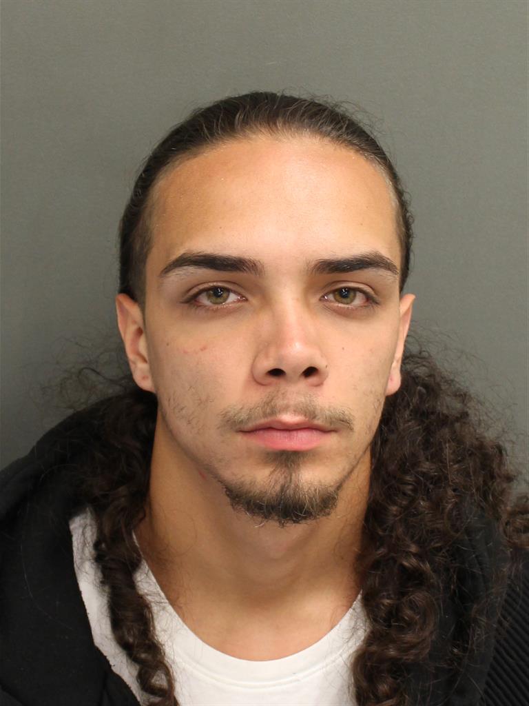  LOUIS ALBERT BUSO Mugshot / County Arrests / Orange County Arrests