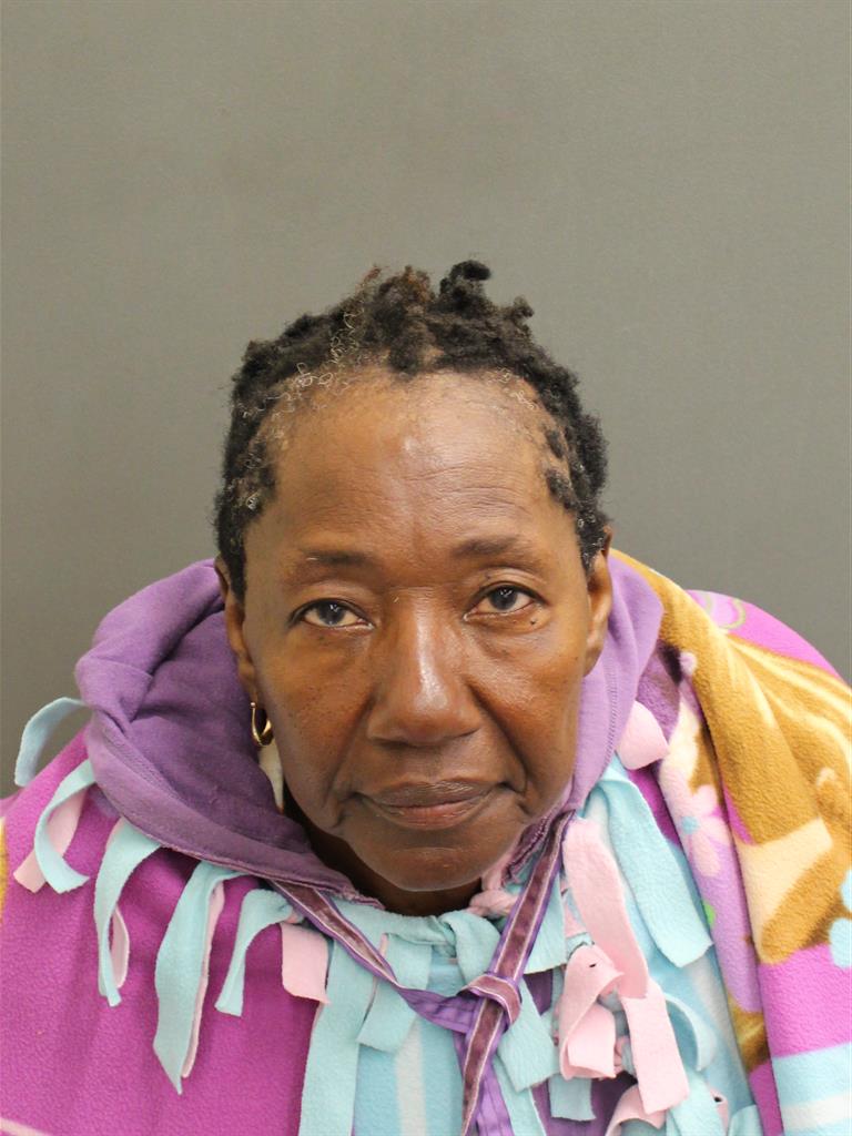  MARGARET GODWIN Mugshot / County Arrests / Orange County Arrests