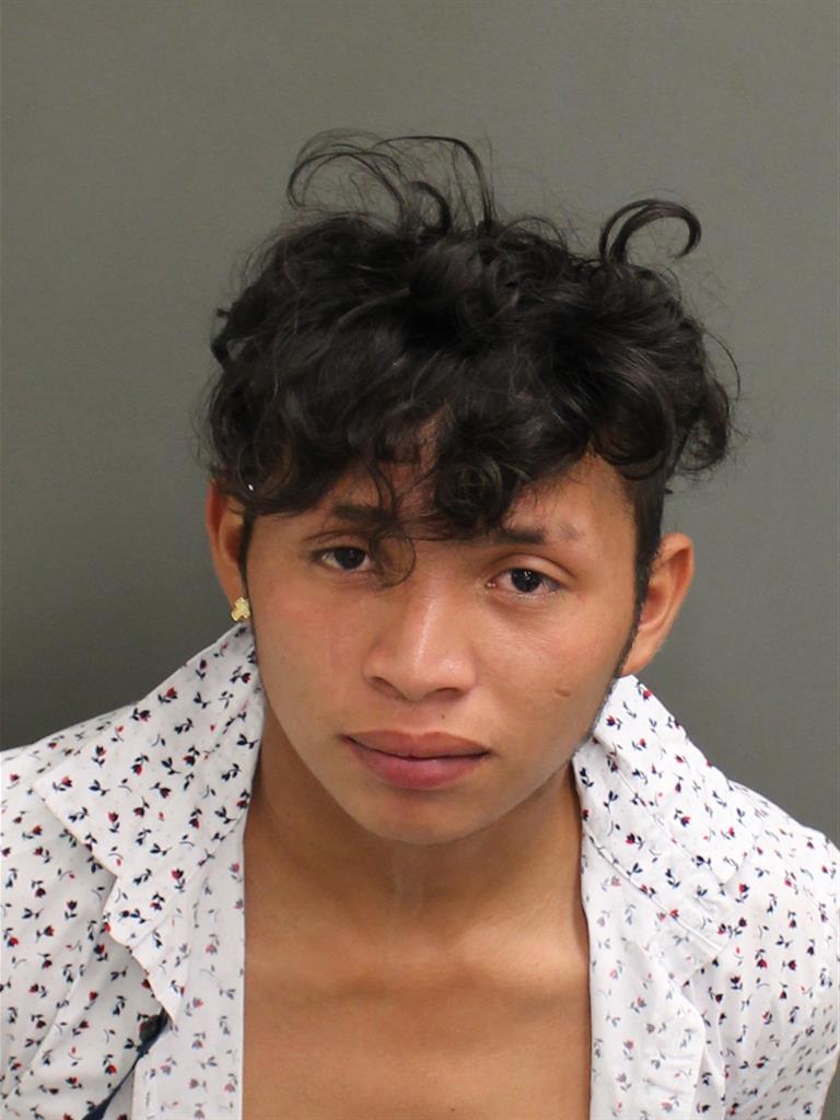  ALEXANDER WILMER HERNANDEZ Mugshot / County Arrests / Orange County Arrests
