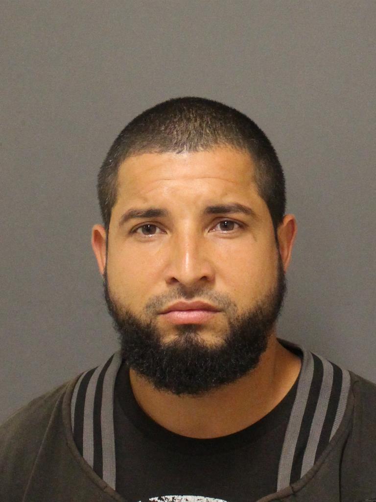  LUIS ANTONIO PAGAN Mugshot / County Arrests / Orange County Arrests