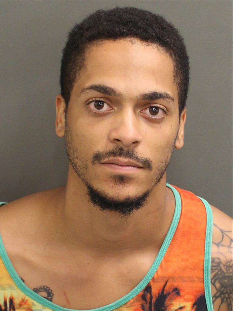  JORDAN C CASTILLOVEITIA Mugshot / County Arrests / Orange County Arrests