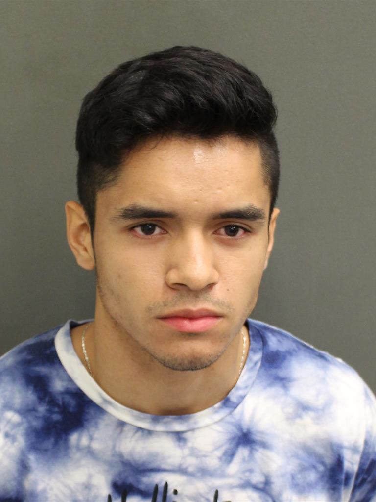  LUIS CARLOS MERECUANACASTILLO Mugshot / County Arrests / Orange County Arrests