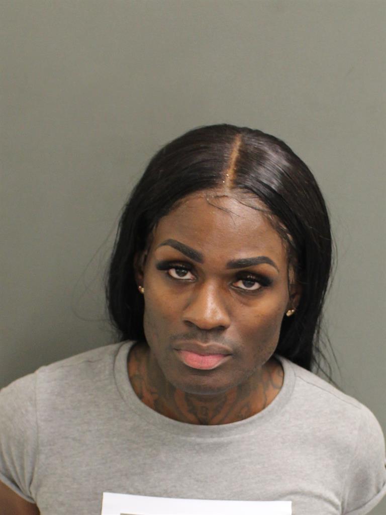  HERBERT LEE MITCHELL Mugshot / County Arrests / Orange County Arrests