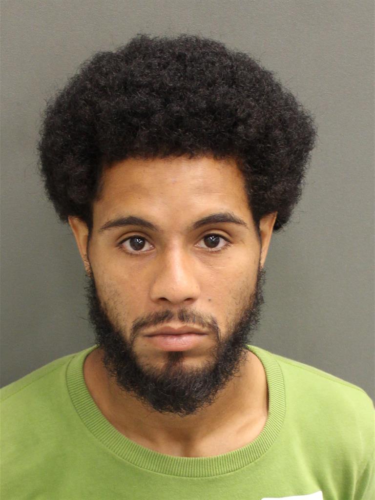  PEDRO ENRIQUE MEDINACEPEDA Mugshot / County Arrests / Orange County Arrests