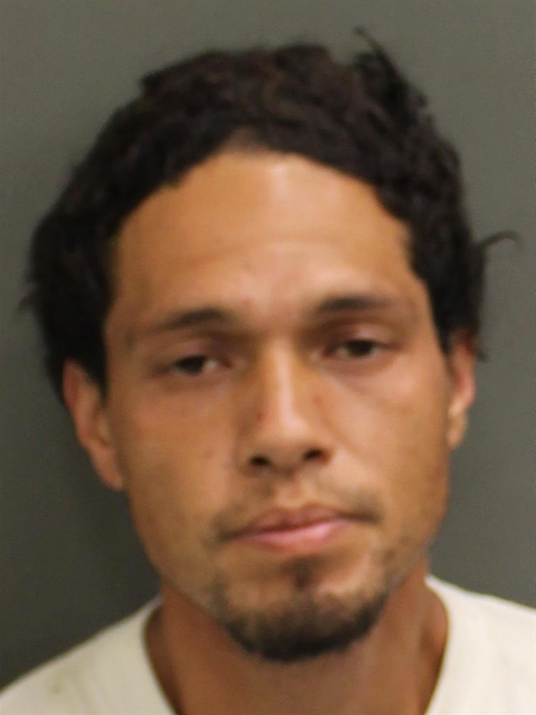  PILIMILOSE MANU Mugshot / County Arrests / Orange County Arrests