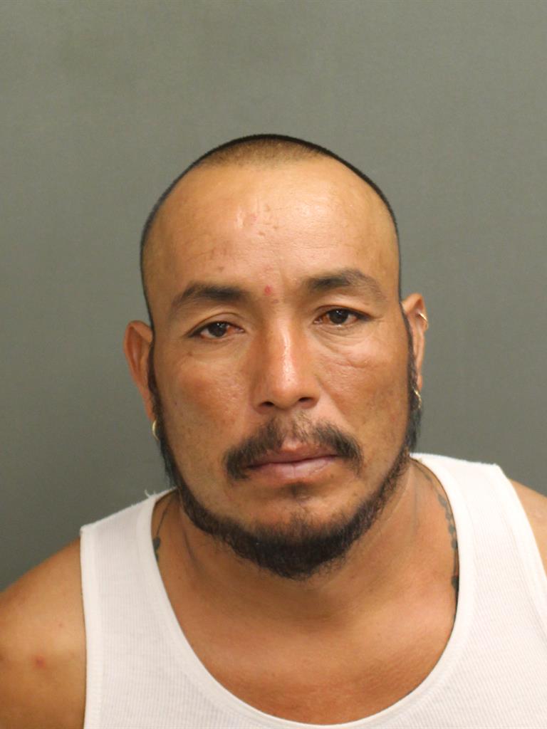  JORGE LUIS MARTINE MENDOLA Mugshot / County Arrests / Orange County Arrests