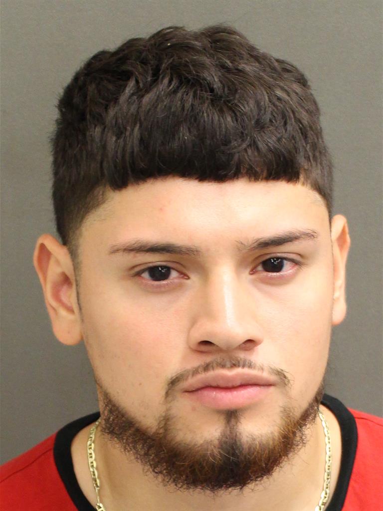  JORGE LUIS REYES Mugshot / County Arrests / Orange County Arrests