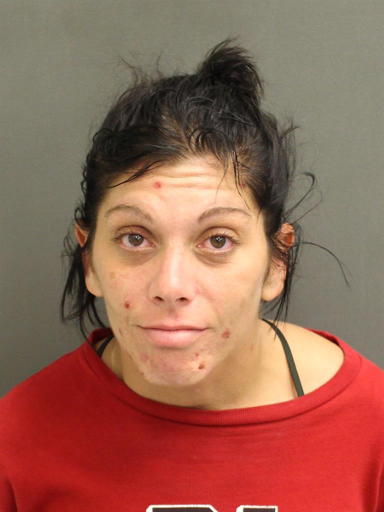  AMANDA LYNN CASSELL Mugshot / County Arrests / Orange County Arrests