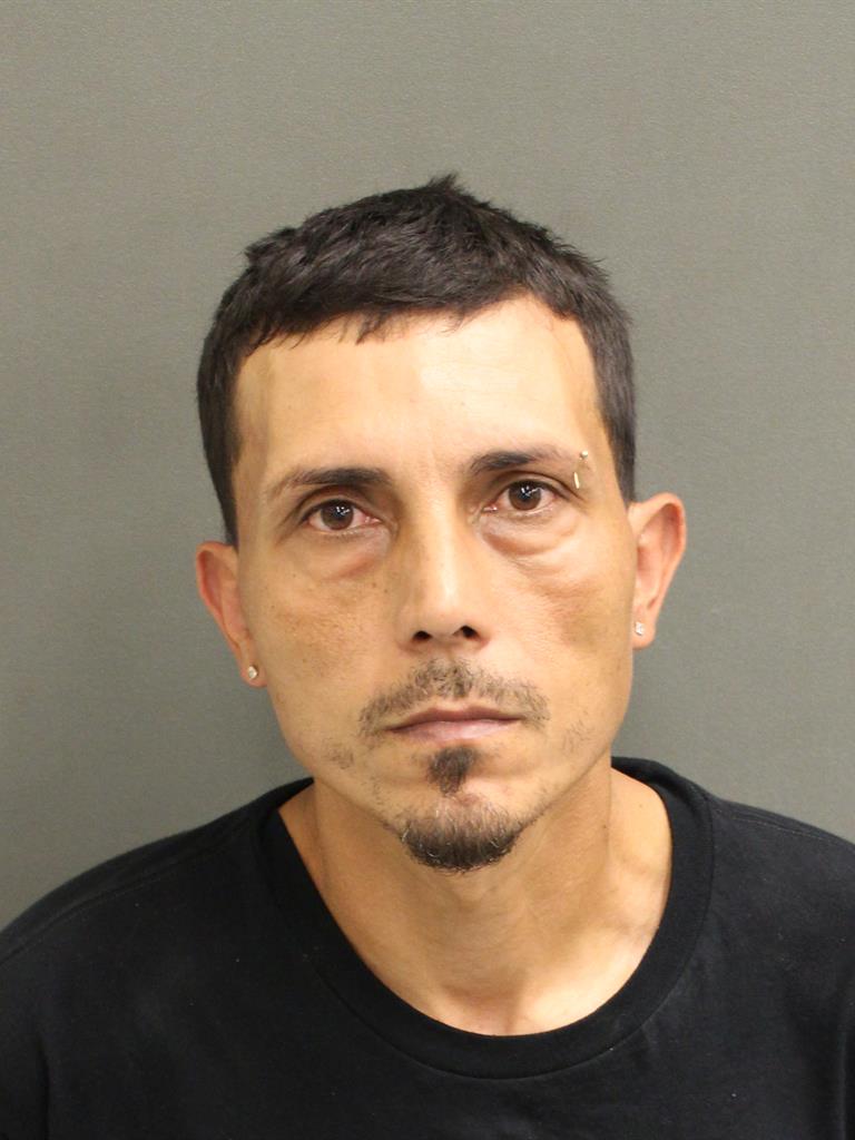  CARLOS ALBERTO FARIALUGO Mugshot / County Arrests / Orange County Arrests