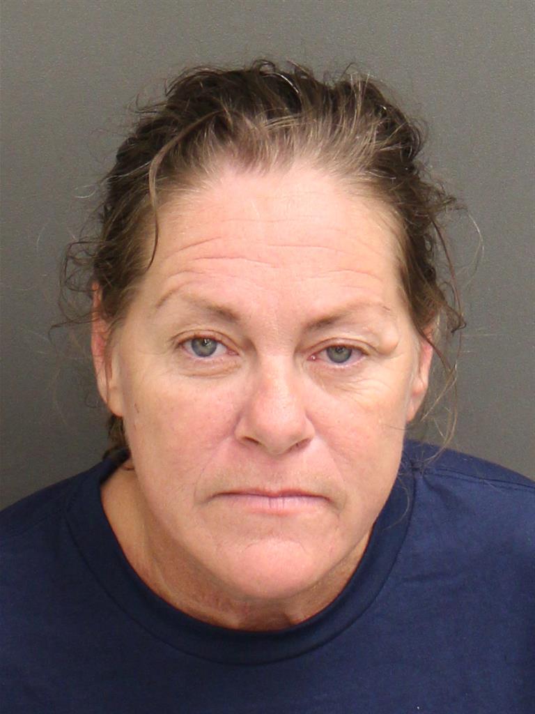  CONNIE ELIZABETH HAMILTON Mugshot / County Arrests / Orange County Arrests