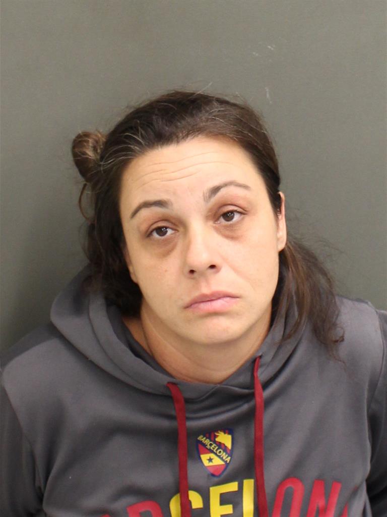  CHRISTINA ANN SANSEVERINO Mugshot / County Arrests / Orange County Arrests