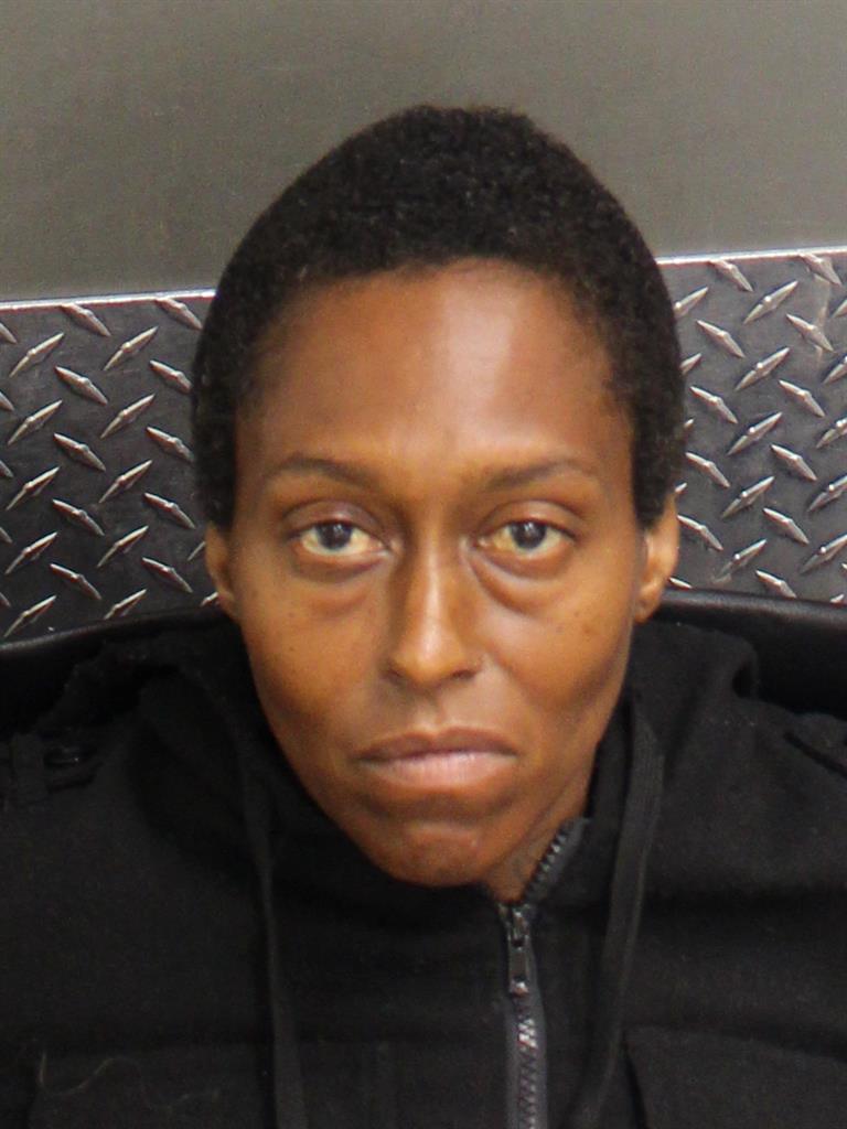  TRACI JANELL STEPLIGHT Mugshot / County Arrests / Orange County Arrests