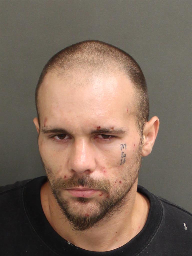  JOSHUA SKYLER GREEN Mugshot / County Arrests / Orange County Arrests