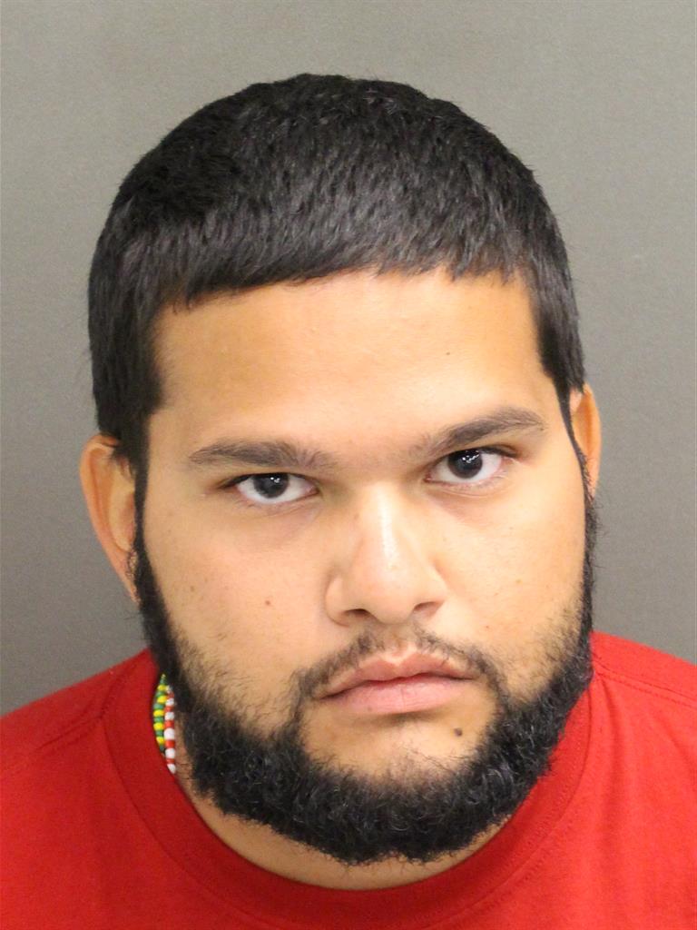  LUIS GABRIEL VAZQUEZALICEA Mugshot / County Arrests / Orange County Arrests