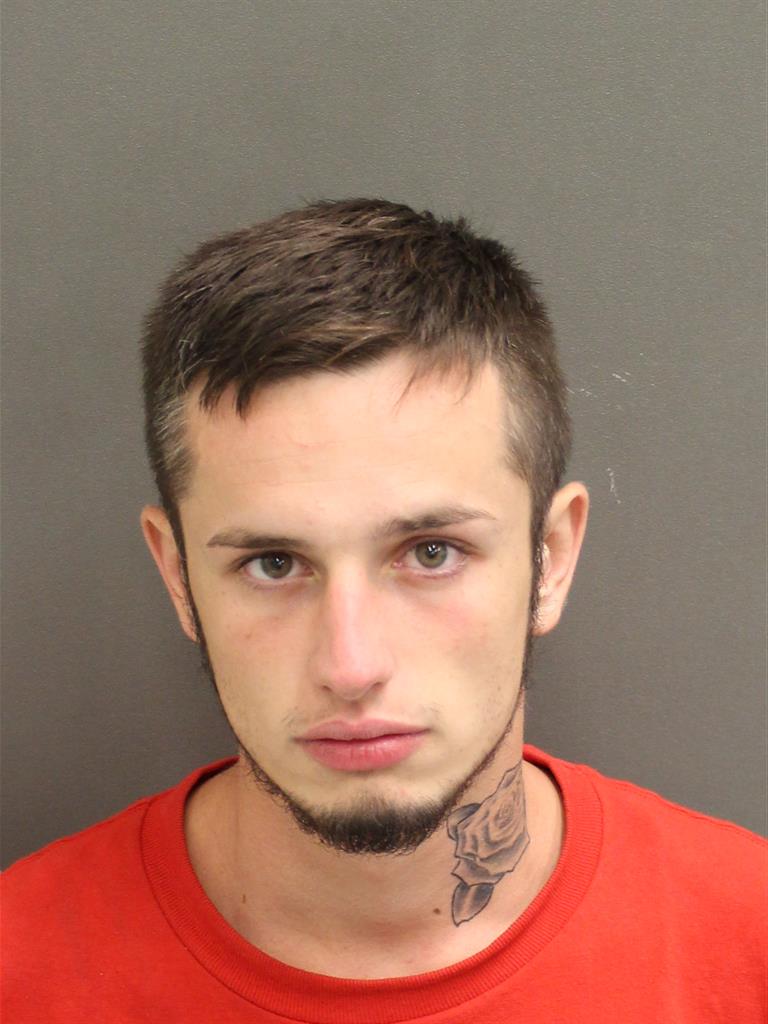  DYLAN JAMES ROBERTSON Mugshot / County Arrests / Orange County Arrests