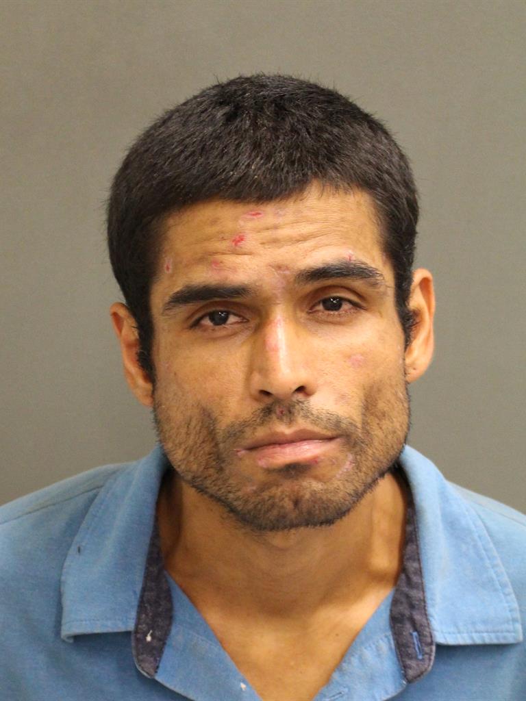  ANDRES JAVIER ACEVEDO Mugshot / County Arrests / Orange County Arrests