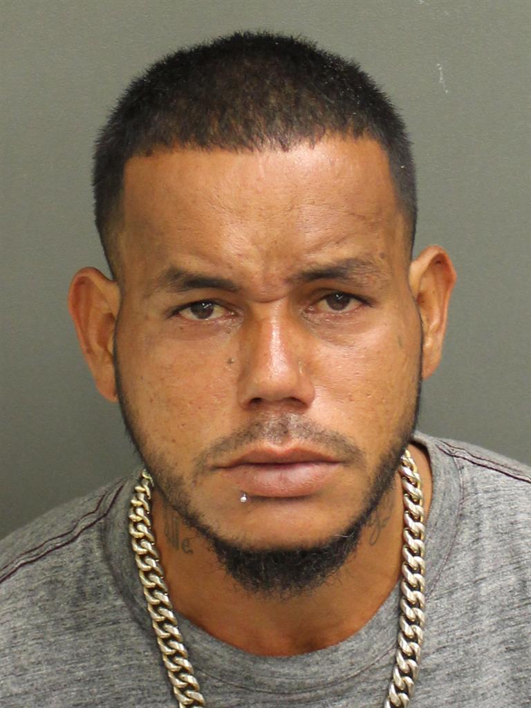  LUIS RIVERAORTIZ Mugshot / County Arrests / Orange County Arrests