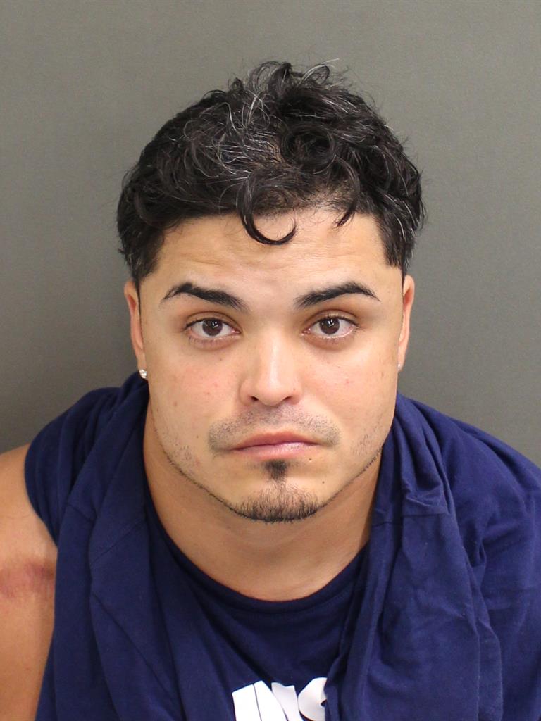  CHRISTIAN ARNALDO FLECHA Mugshot / County Arrests / Orange County Arrests