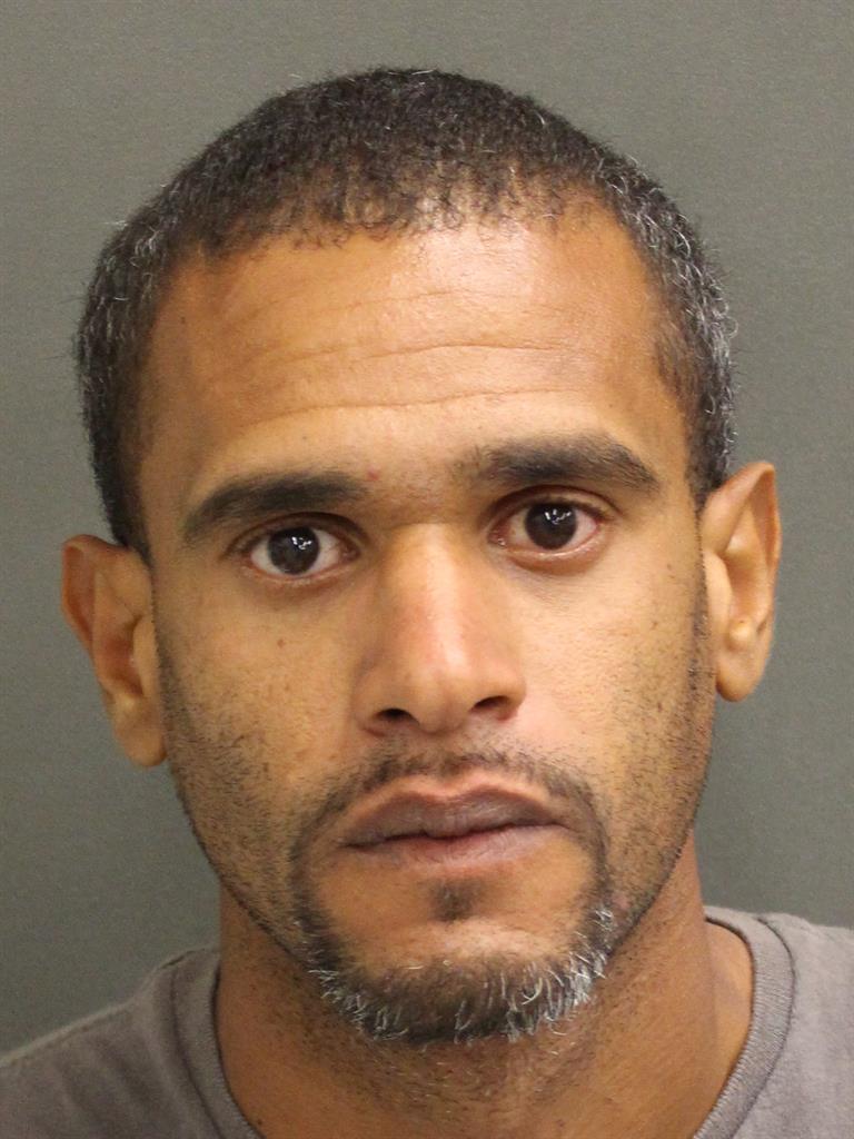  JOAN MANUEL LAUREANODURAN Mugshot / County Arrests / Orange County Arrests