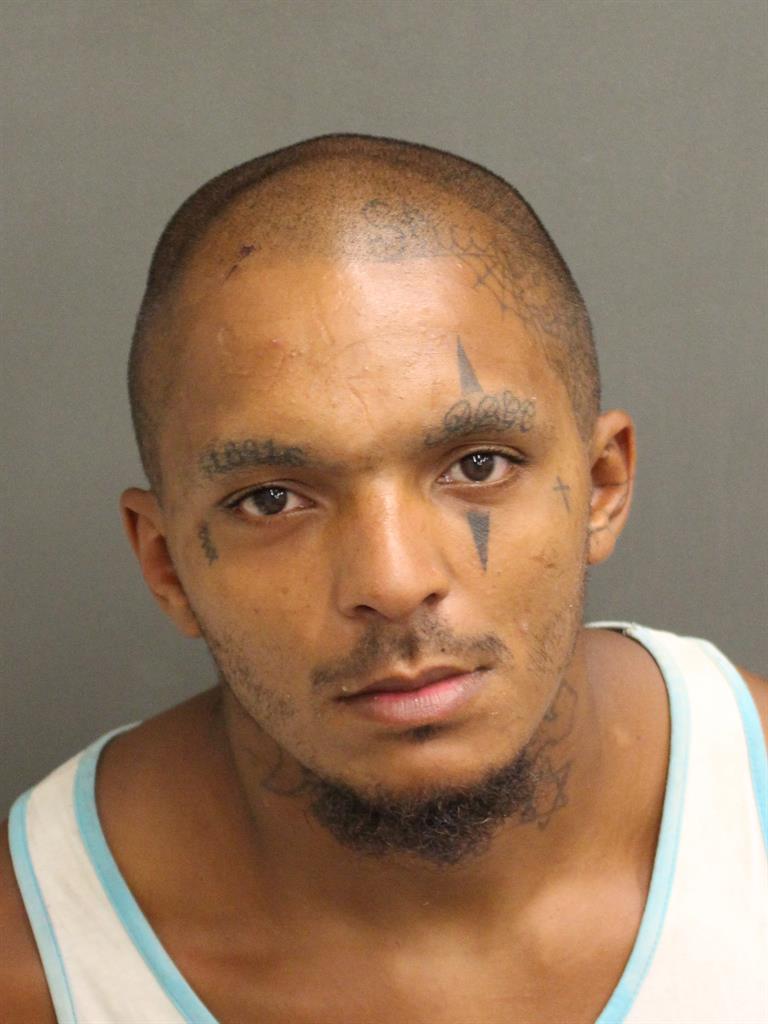  CLARENCE  JR SMALL Mugshot / County Arrests / Orange County Arrests