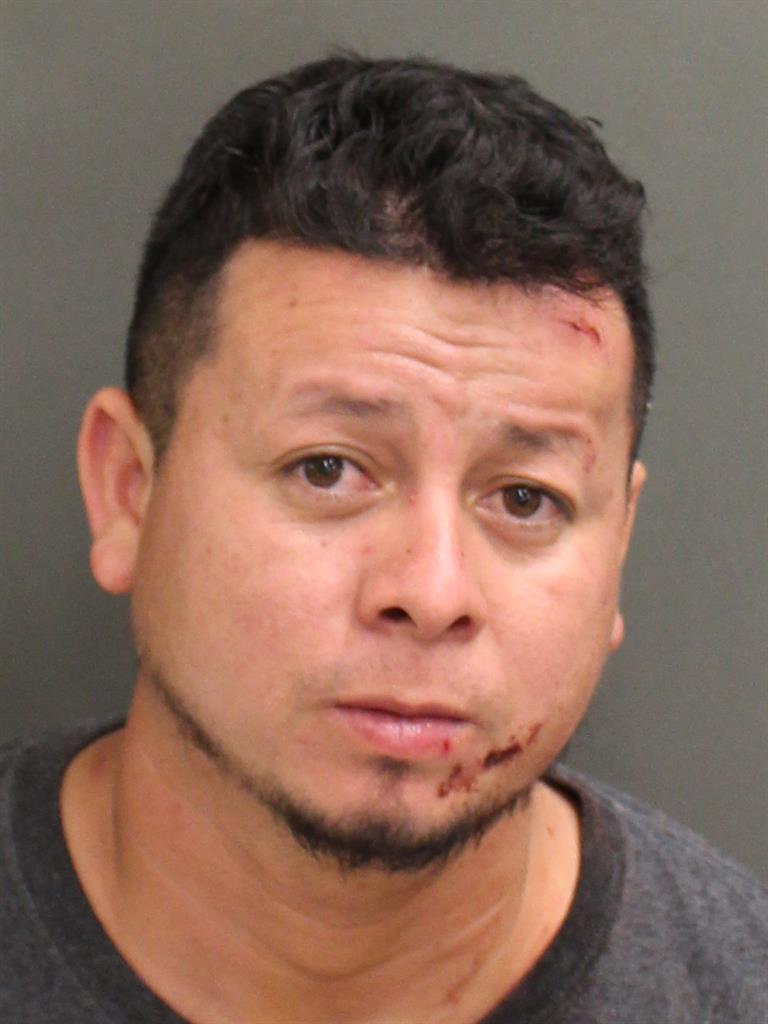  LUIS ARMANDO BACAGUEVARA Mugshot / County Arrests / Orange County Arrests
