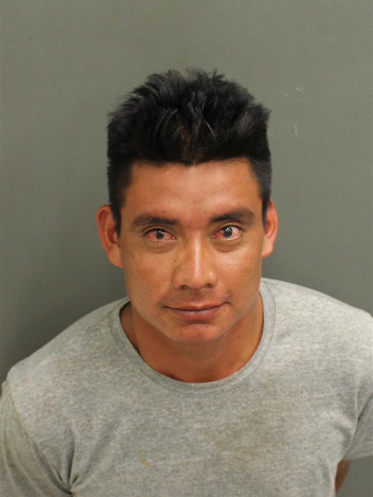  FELIPE DEJESUSALDAI CASTILLORAMIREZ Mugshot / County Arrests / Orange County Arrests