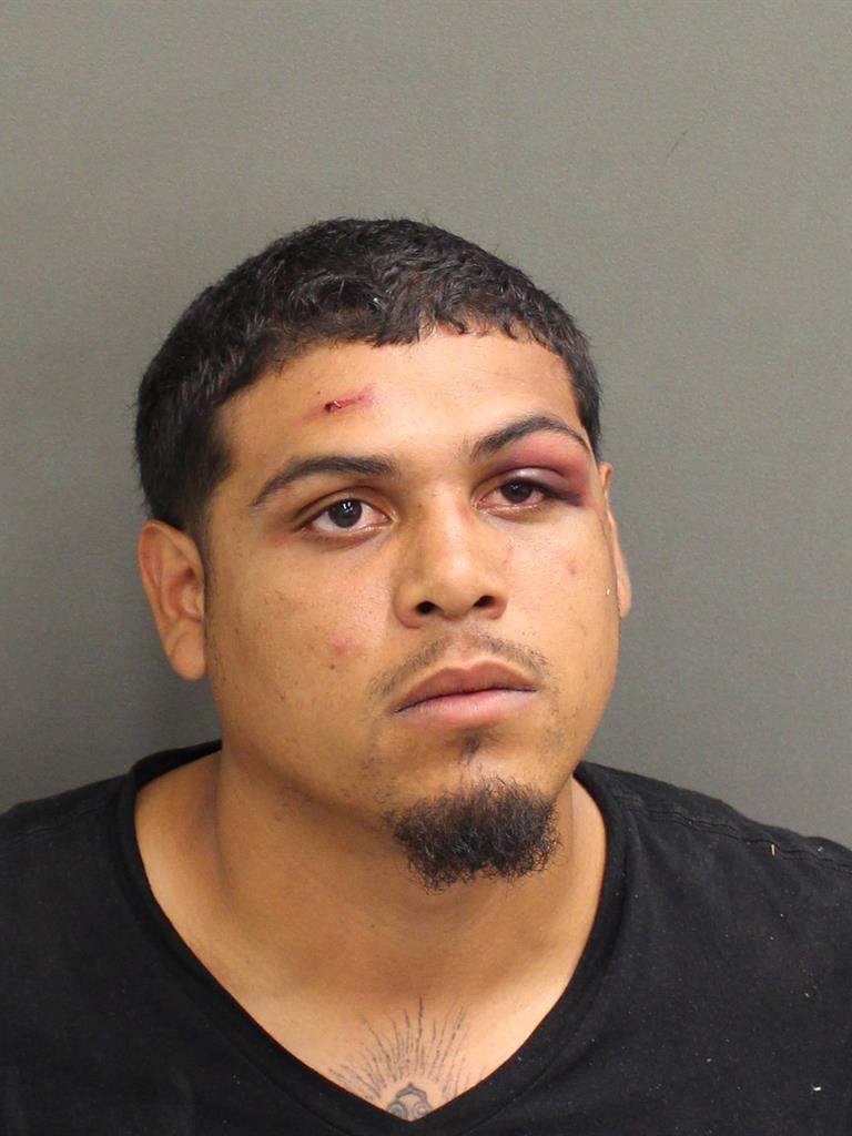  DAVE ANAYACOLON Mugshot / County Arrests / Orange County Arrests