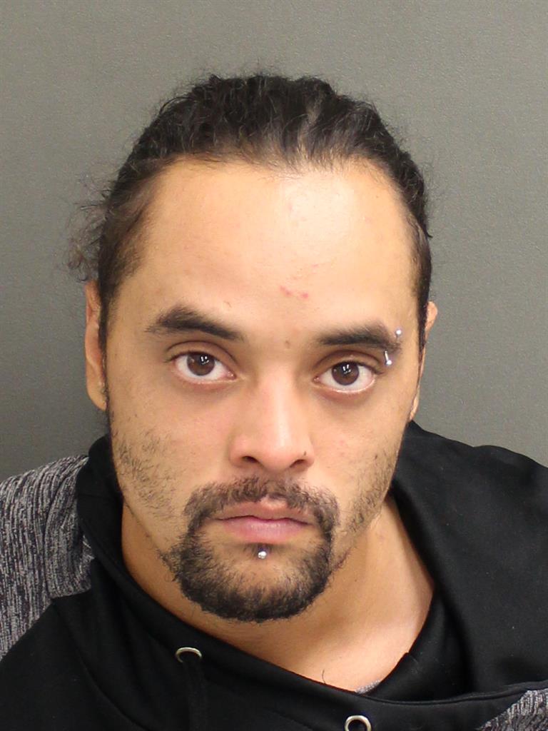  PEDRO MIGUEL SANCHEZ Mugshot / County Arrests / Orange County Arrests