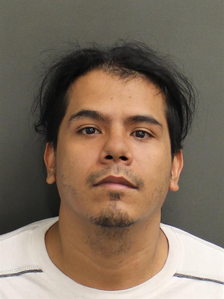  RAMJELLYS ALEGRE Photo Image