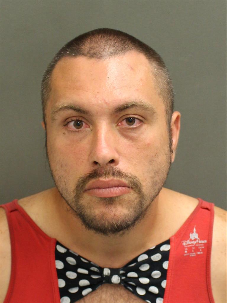  DAVID KENNETH SKELLIE Mugshot / County Arrests / Orange County Arrests