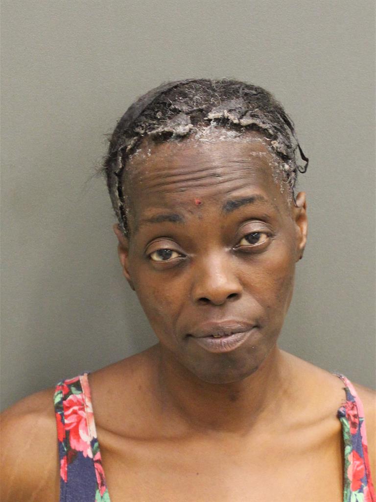 ANLITA LYNETTE BODIFORD Mugshot ANLITA LYNETTE BODIFORD Mugshot / County Arrests / Orange County Arrests