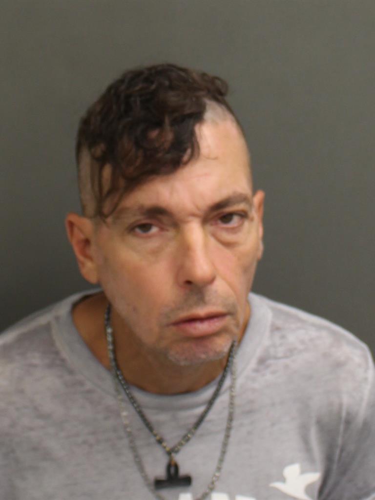  THEODORE LEIVA Mugshot / County Arrests / Orange County Arrests
