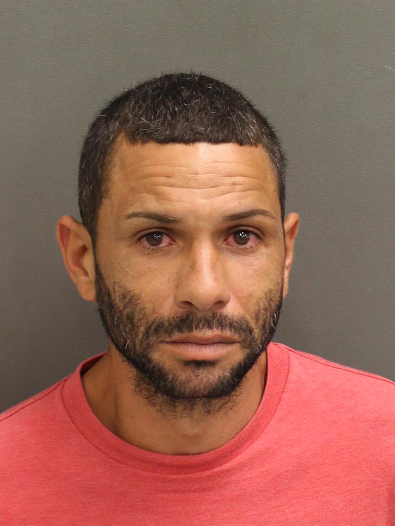 HECTOR MIGUEL APONTESERGIO Mugshot / County Arrests / Orange County Arrests