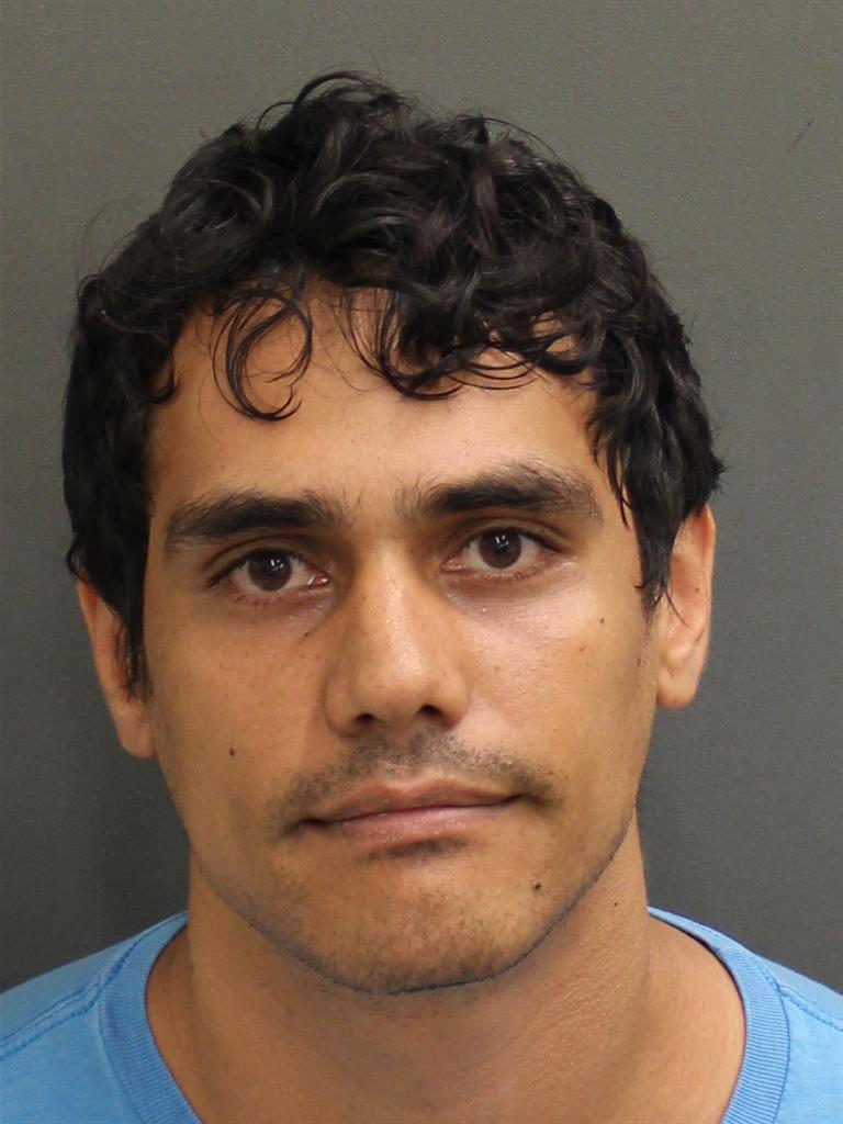  STEFAN EMMANUEL MICU Mugshot / County Arrests / Orange County Arrests