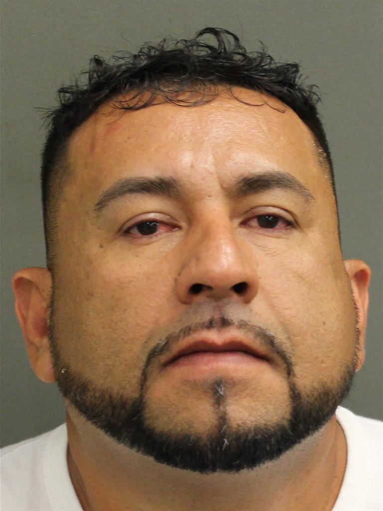  EFREN SALVADOR MERCADO Mugshot / County Arrests / Orange County Arrests