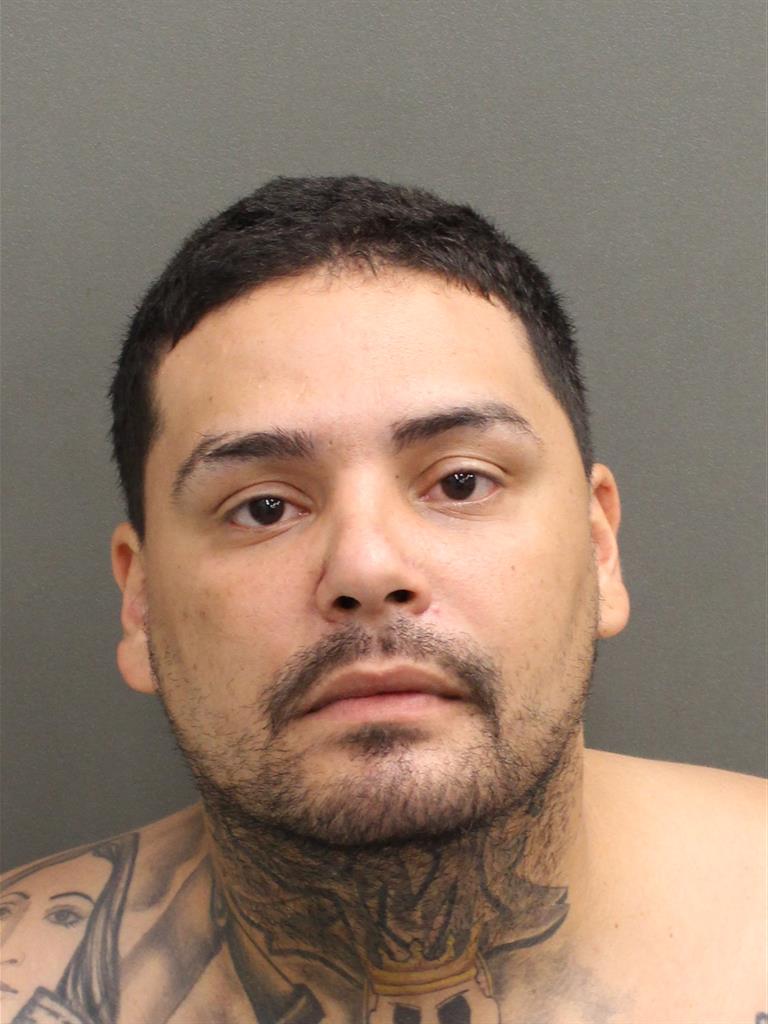  RICHARD  JR RIVERA Mugshot / County Arrests / Orange County Arrests