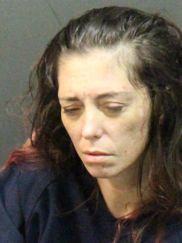  KRISTIN HELGA ANDERSON Mugshot / County Arrests / Orange County Arrests